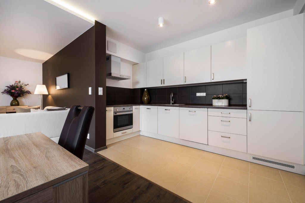 Modern kitchen and living room interior design